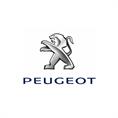 Peogeot 208 Tapis voiture (set de 4 piéces)